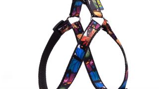 Szelki dla psa kolor