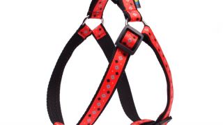 Szelki dla psa kolor