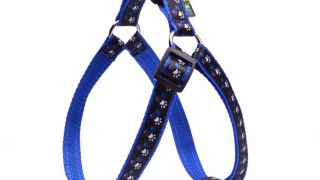 Szelki dla psa kolor