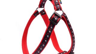 Szelki dla psa kolor