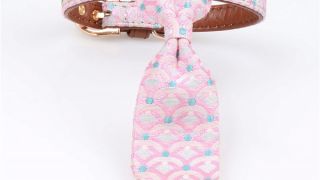 Obroża z krawatem