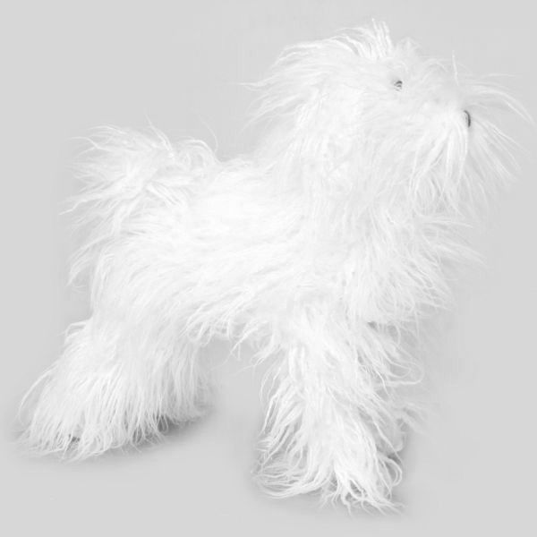 DOG BICHON 