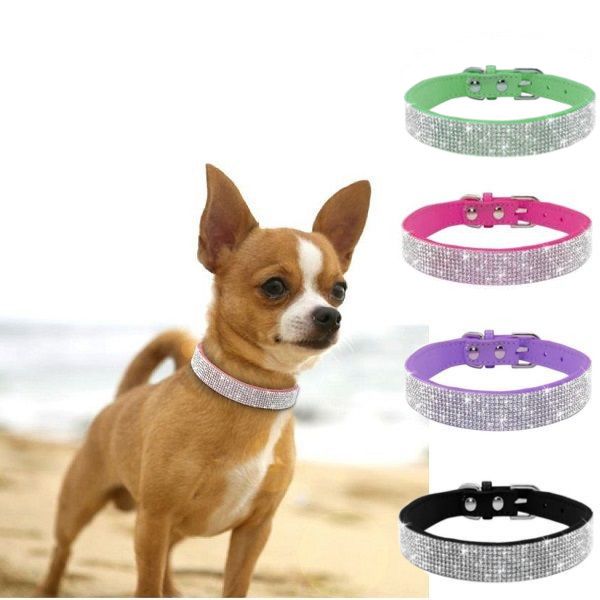 błyszcząca obroża